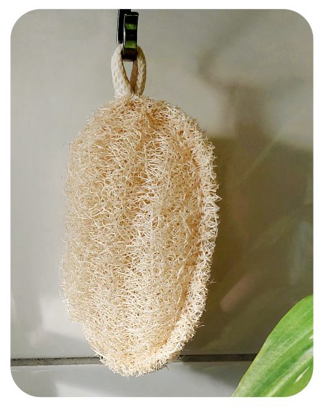 luffa spons plasticvrij en composteerbaar microplasticvrij bij Bag-again zero waste webshop