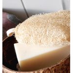 luffa spons plasticvrij en composteerbaar microplasticvrij bij Bag-again zero waste webshop