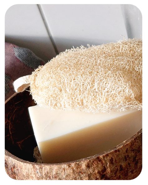 luffa spons plasticvrij en composteerbaar microplasticvrij bij Bag-again zero waste webshop