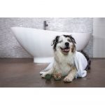 happysoaps honden shampoobar Bag-again zero waste webshop