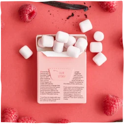 true gum raspberry & vanilla bij Bag-again zero waste webshop