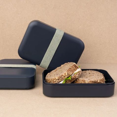 Amuse zero waste lunchbox van recycled plastic bij Bag-again zero waste webshop